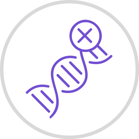 Optimum Balance and Stability Icon SEO