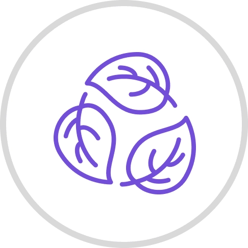 Healthy Brain Function Cognitive Support SEO