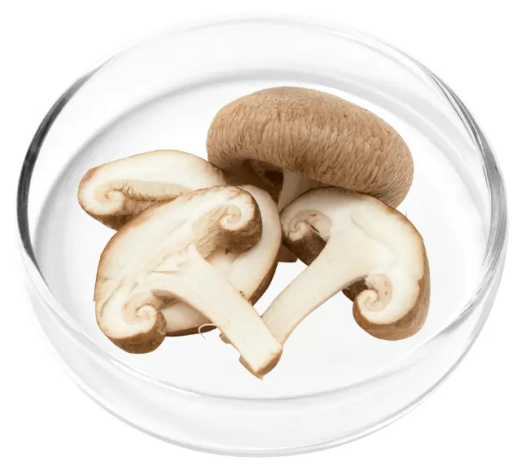 Cholecalciferol Vitamin D Inner Ear Health SEO